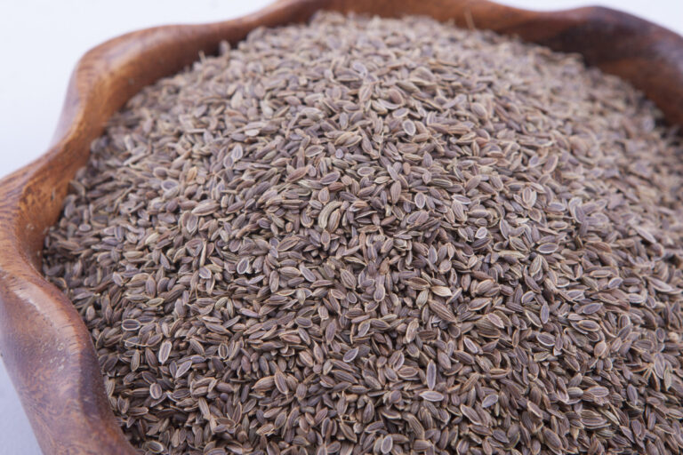Dill Seeds.