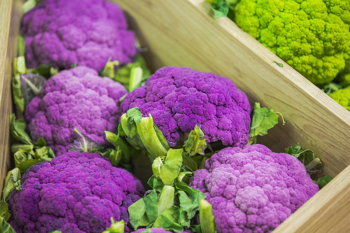 What Is Purple Broccoli?